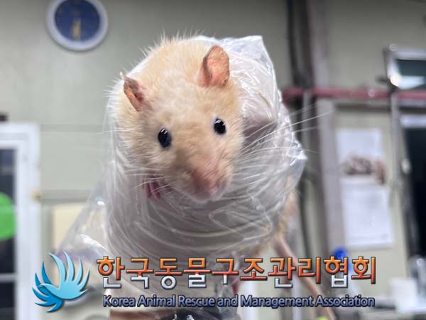 한국동물구조관리협회_411311202400780